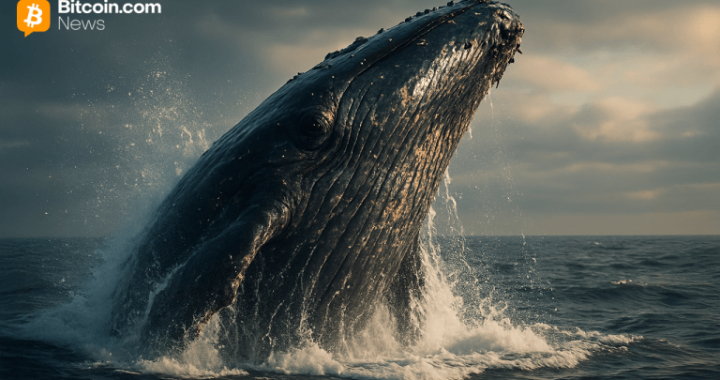 Long-Dormant Bitcoin Whale Awakens, Moves $45.6M in BTC After Nearly 12 Years