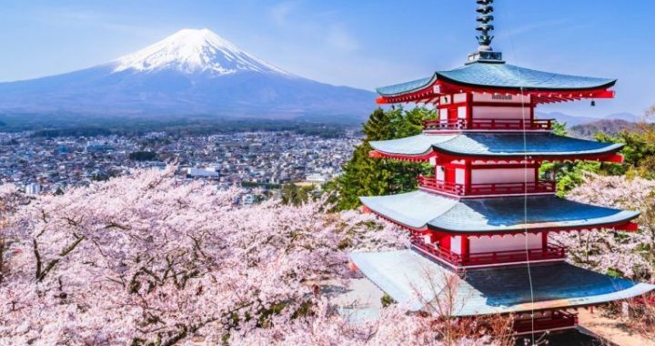 Metaplanet Buys 136 BTC, Reports 487% YTD BTC Yield