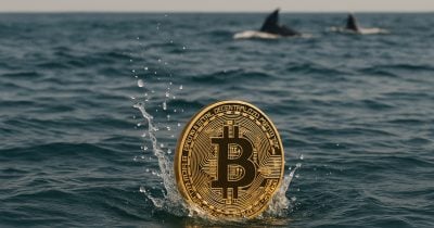 Long-term Bitcoin holders sell 265,715 BTC, largest monthly outflow since January