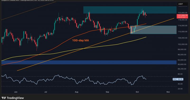 Bitcoin Price Analysis: Healthy Pullback Before Another Surge to Fresh ATHs?