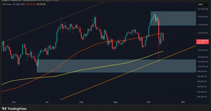Bitcoin Price Analysis: Is BTC Out of the Woods Completely After Recent Meltdown?