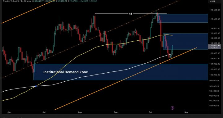 BTC Price Analysis: Bitcoin Needs to Reclaim $114K to Confirm Bull Run Continuation
