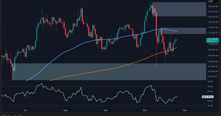 Bitcoin Price Analysis: Path to New ATH Opens Up if BTC Reclaims This Key Level