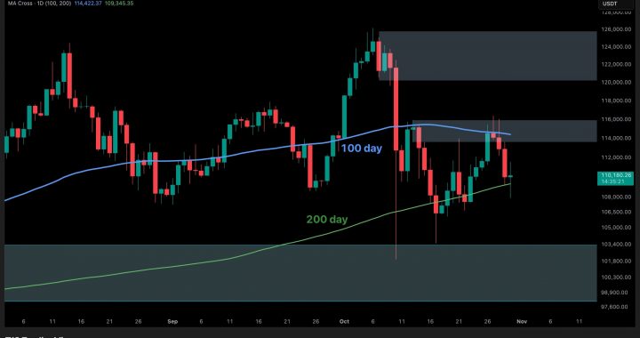 Bitcoin Price Analysis: BTC Risks Falling Toward $100K if Current Support Breaks