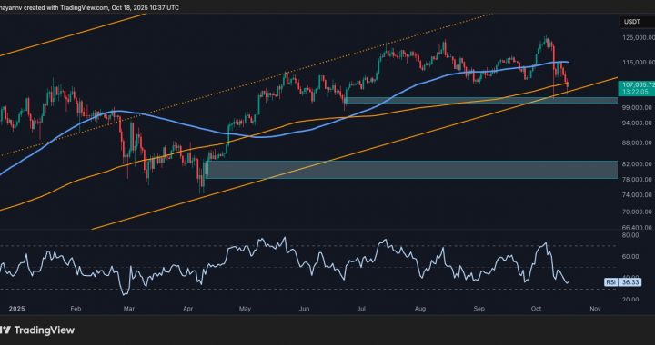Bitcoin Price Analysis: First Bearish Signs Appear as BTC Falls by $20K From ATH