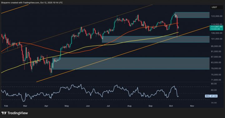 Bitcoin Price Analysis: Is BTC’s Momentum Leaning Bearish After the Crash?
