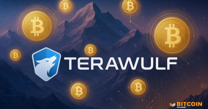 Bitcoin Miner TeraWulf (WULF) Stock Jumps 25% on Positive AI News 