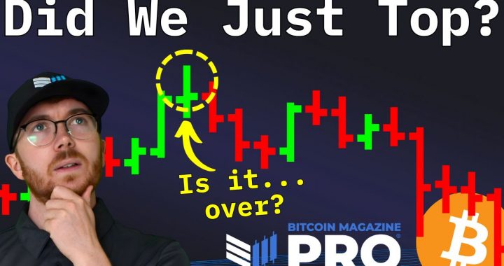 Bitcoin Price Crash Sparks Debate Over Bull Market Fate