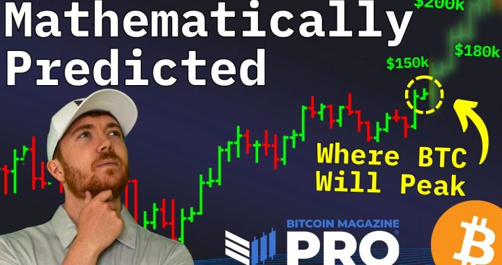Data Analyst Bitcoin Price Prediction Bombshell