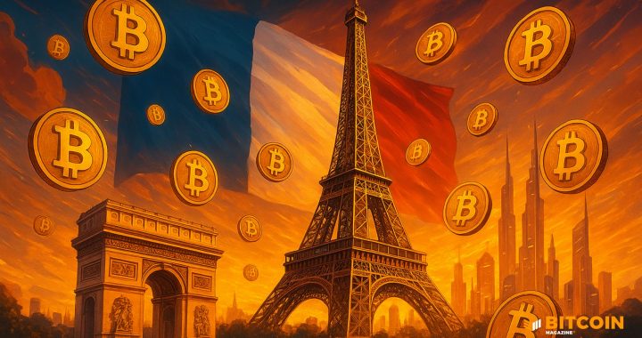 France Proposes National Bitcoin Reserve, Wants to Buy 2% of Bitcoin Supply