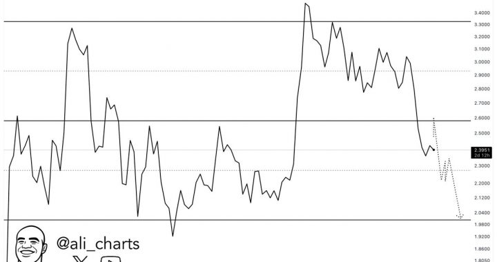 What’s Next for Ripple’s Price as Whales Start an XRP Sell-Off