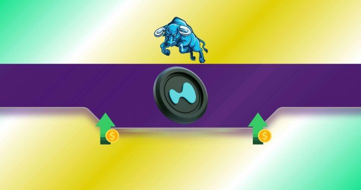 HYPE Rallies 36% in a Week, But Momentum Nears a Crossroad