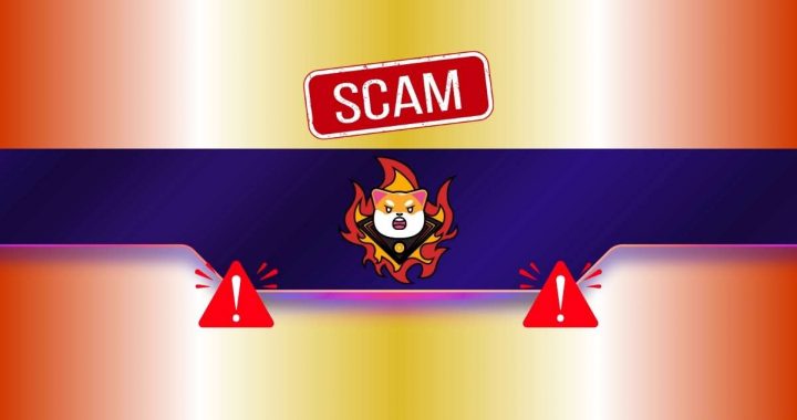 Critical Warning Concerning Shiba Inu (SHIB) Users: Details