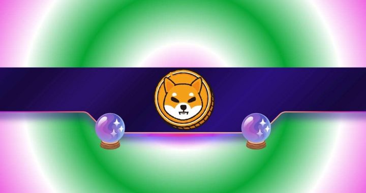 Shiba Inu (SHIB) to Hit New ATH in 2025? (This Analyst Believes so)