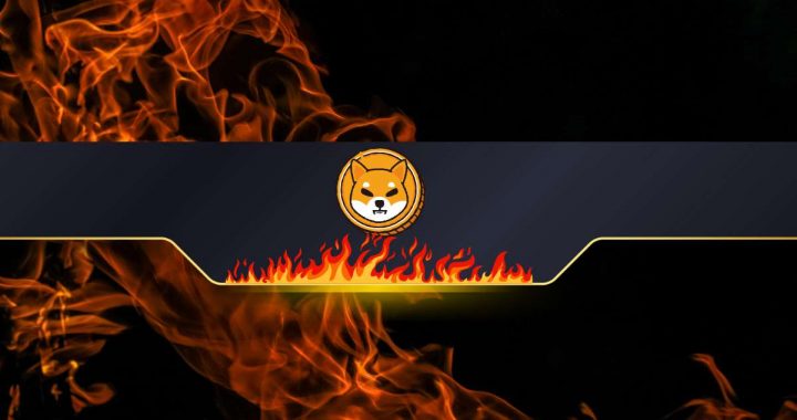 Shiba Inu Burn Rate Explodes by 88,000%: SHIB Price Surge to Follow?