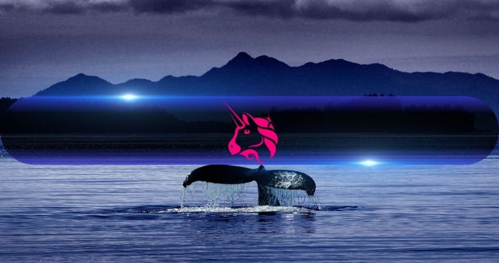 Binance Whales Are Quietly Buying Up Uniswap’s UNI Token Amidst Market Weakness