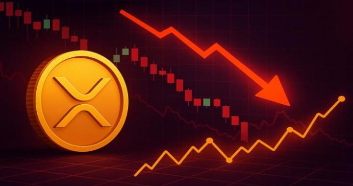 XRP DEX Volumes Surge As Price Plunges: Smart Money Accumulating?