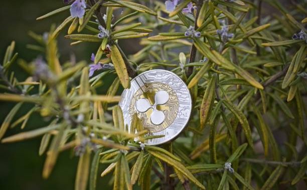 Crypto Analyst Maps Out The XRP Price Roadmap From $3 To $27