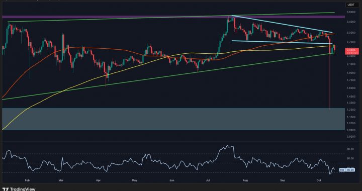 Ripple Price Analysis: Key XRP Support Levels to Watch If Another Crash Occurs