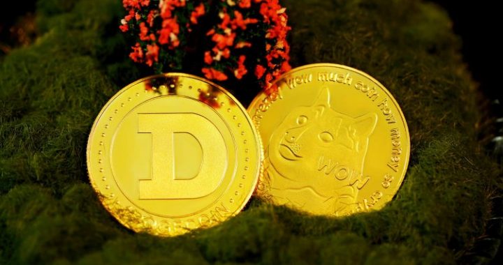 Dogecoin Whales Quietly Accumulate Over 320 Million Coins — What’s Coming Next?