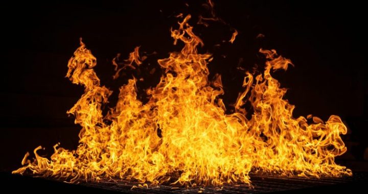 Biggest Shiba Inu Burn In Months — And It Came From A Coinbase Account