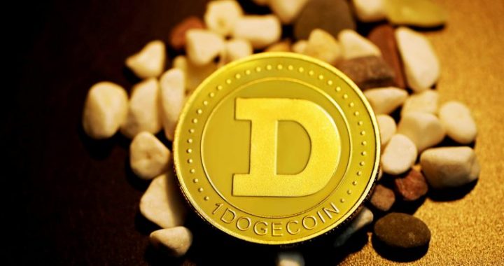 Dogecoin Down 20% – But Some Think This Is When The Real Gains Start