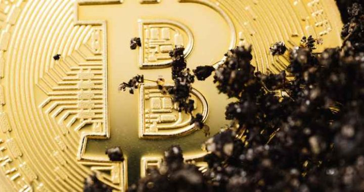 16,000 Ancient Bitcoins Just Moved—And It’s Costing Whales Billions