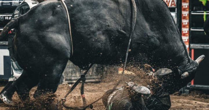 Ethereum Beware — Analyst Says XRP’s Next Bull Run Could Be Deadly