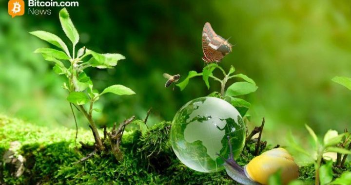 Bee Maps Raises $32M to Scale Solana‑Powered Decentralized AI Map