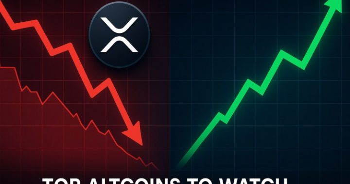 Top Altcoins to Watch as XRP Liquidations Shake the Market