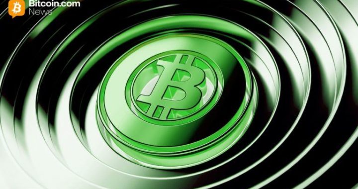 Bitcoin and Ether ETFs Extend Recovery With $557 Million in Inflows