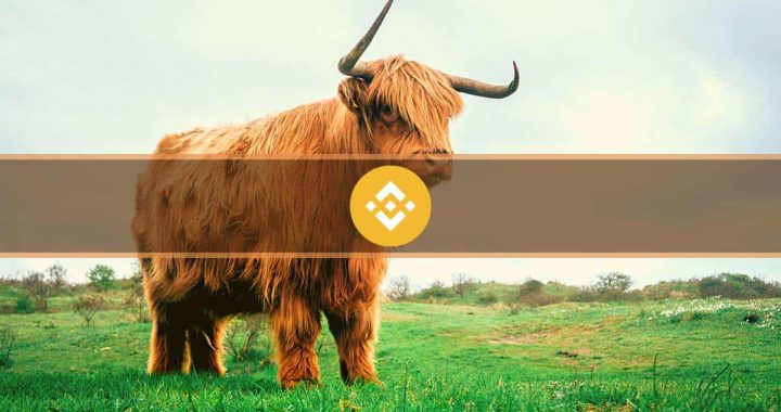 Binance Coin (BNB) Flips Ripple (XRP) Following Record-Breaking Price Surge