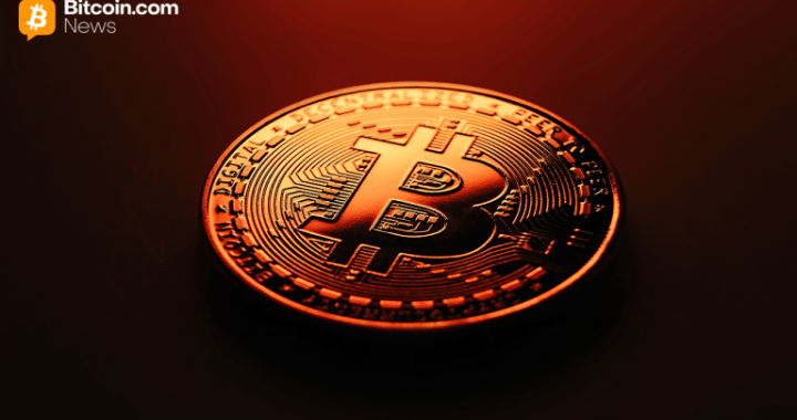 Bitcoin Crashes to $110,623 as Market Continues to Shake Out