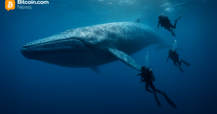 Bitcoin Whale’s $300M Transfer Sparks Speculation After Kraken Hot Wallet Transaction Goes Viral