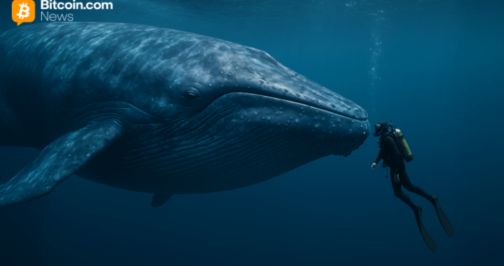 Ancient Bitcoin Awakens: 2011 Wallet Shifts 4,000 BTC After 14 Years of Silence