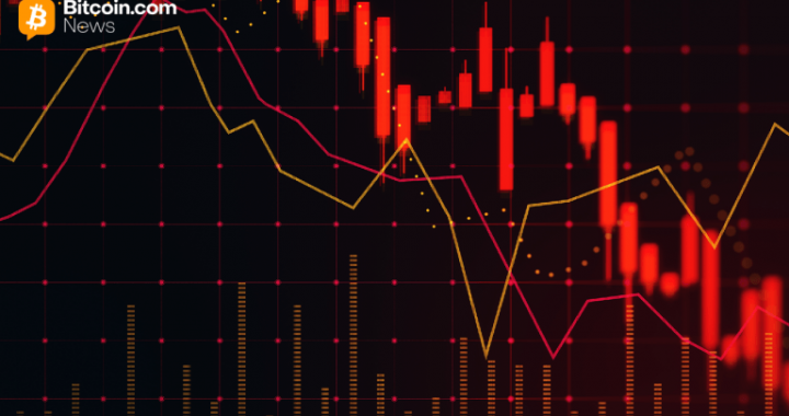 Surviving the Crash: XBO.com Founder Urges Discipline in Volatile Crypto Markets