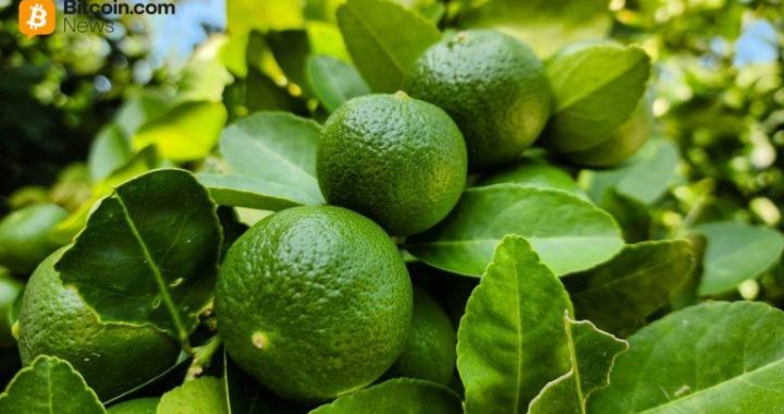 Crypto Investments Get Red Hot in Argentina: Lemon Raises $20M to Bankroll Latam Expansion