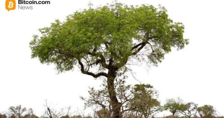 Digital Asset Solutions Firm Completes Australia’s First Tokenized Government Bond Investment