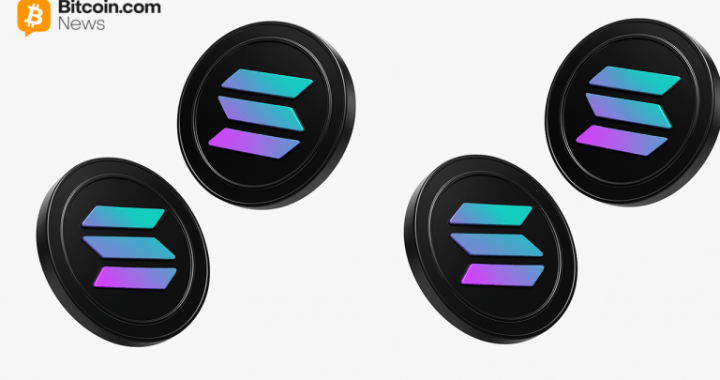 Solana Company Emerges as Major Corporate Holder of SOL Tokens