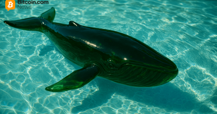 Hyperliquid Whale Reloads $121M Bitcoin Short at 10x Leverage