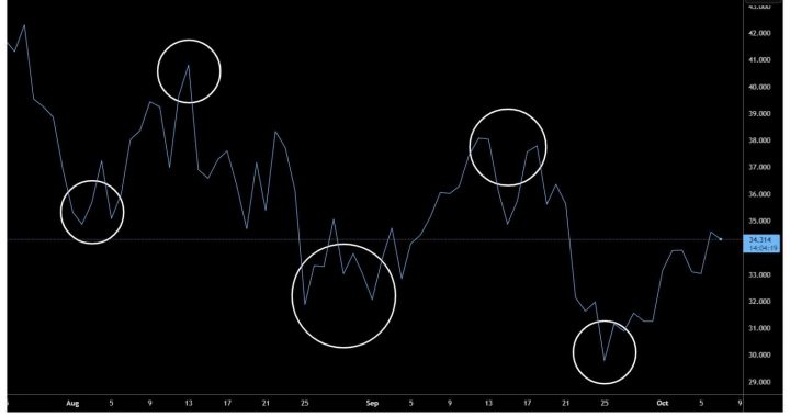 PrimeXBT: How to Turn Volatility Into Opportunity in the Altcoin Market