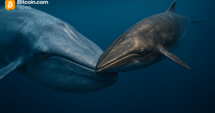 Dormant Whales Stir Amid Bitcoin’s Cool Down — $28 Million in Vintage BTC Just Shifted