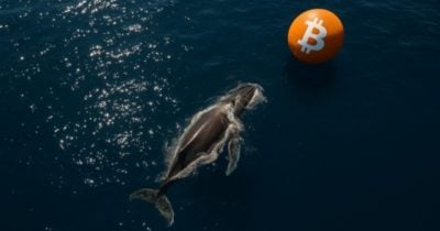 Dormant Bitcoin whale sells after nearly 3 years, realizes $12.5M profit
