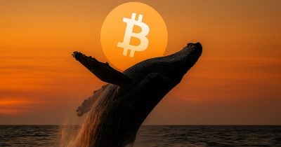 Bitcoin sees its second-largest weekly whale accumulation of 2025