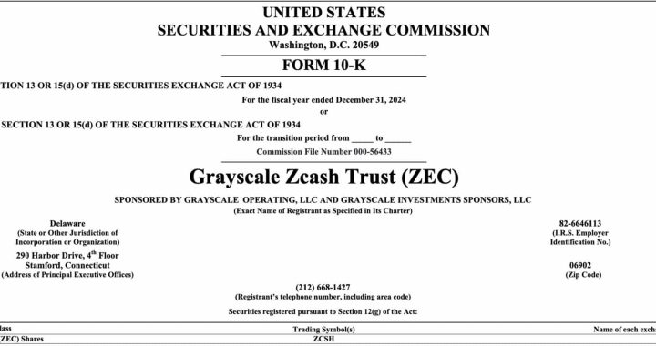 Will Winklevoss Twins Successfully Takeover ZCash?