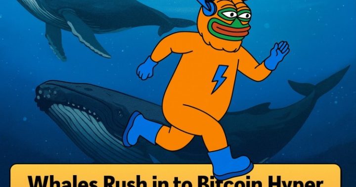 $307K in 24 Hours: Why Are Whales Flocking to Bitcoin Hyper?