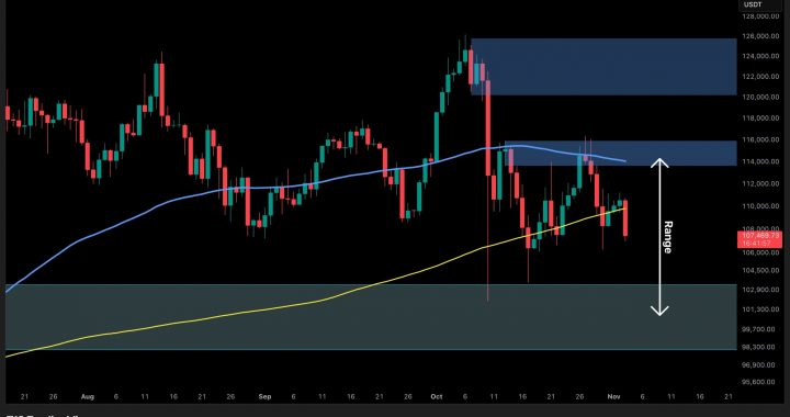 Bitcoin Price Analysis: Bearish Signs Emerge as BTC Breaks Below Crucial Support