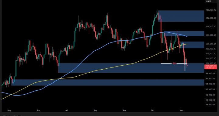 Bitcoin Price Analysis: What Are BTC’s Next Key Support Levels if $100K Falls?