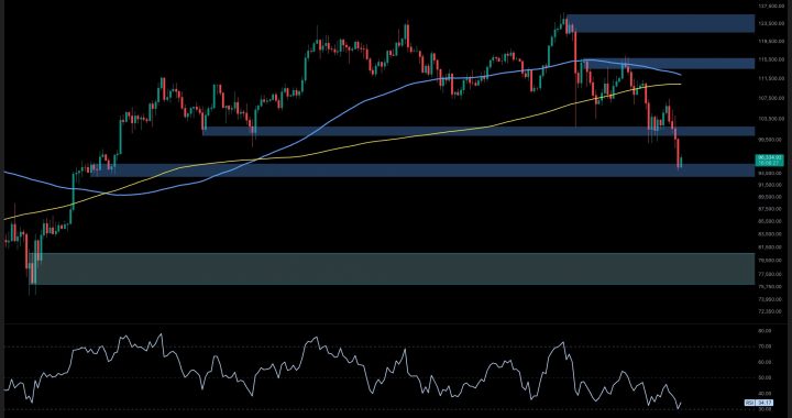 Bitcoin Price Analysis: What’s Next for BTC After Tanking to $94K?