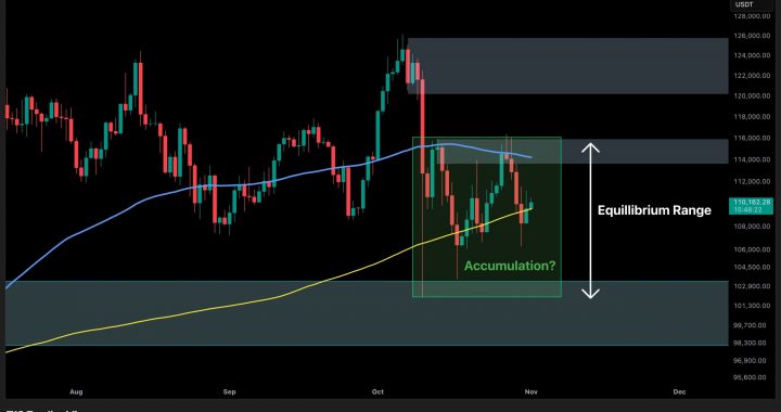 Bitcoin Price Analysis: BTC’s Next Move Will Depend on This Key Level
